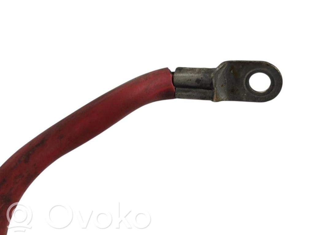 Plusa vads (akumulatora)