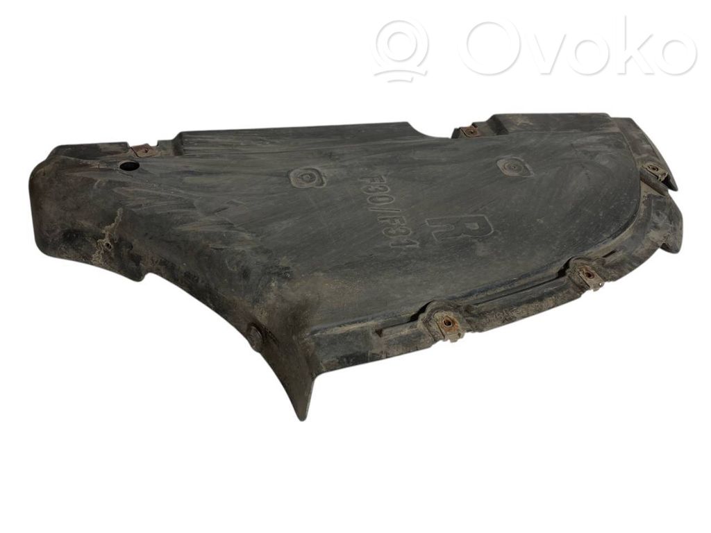 Rear bumper lower guard