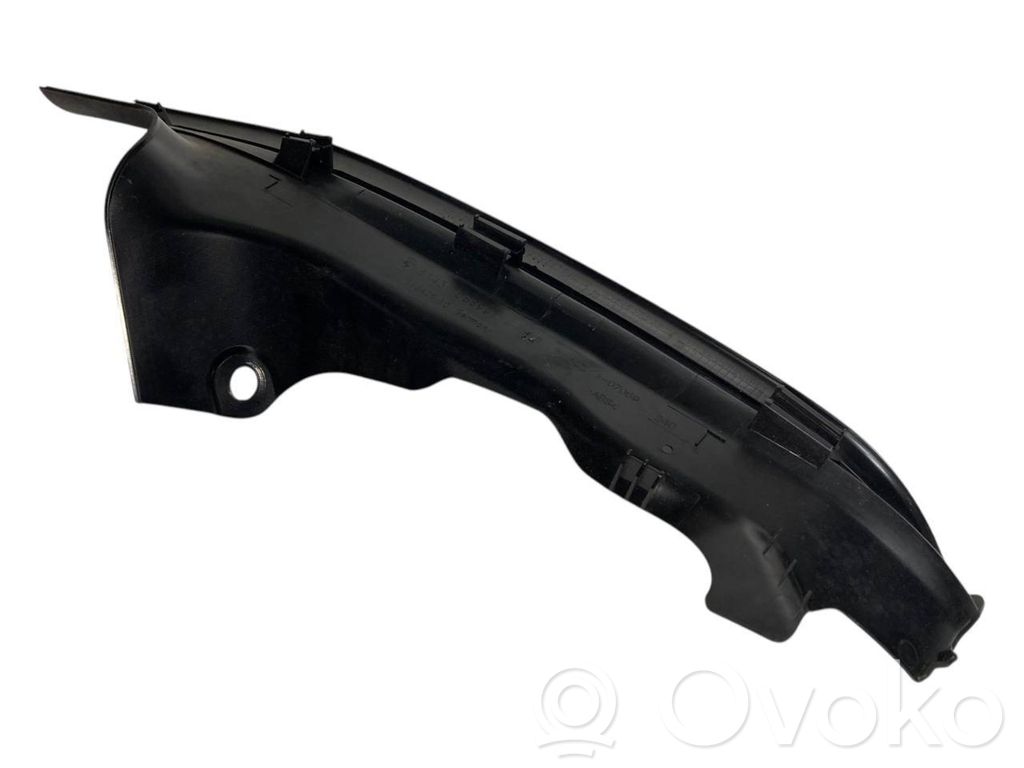 Rear door sill trim (inner)