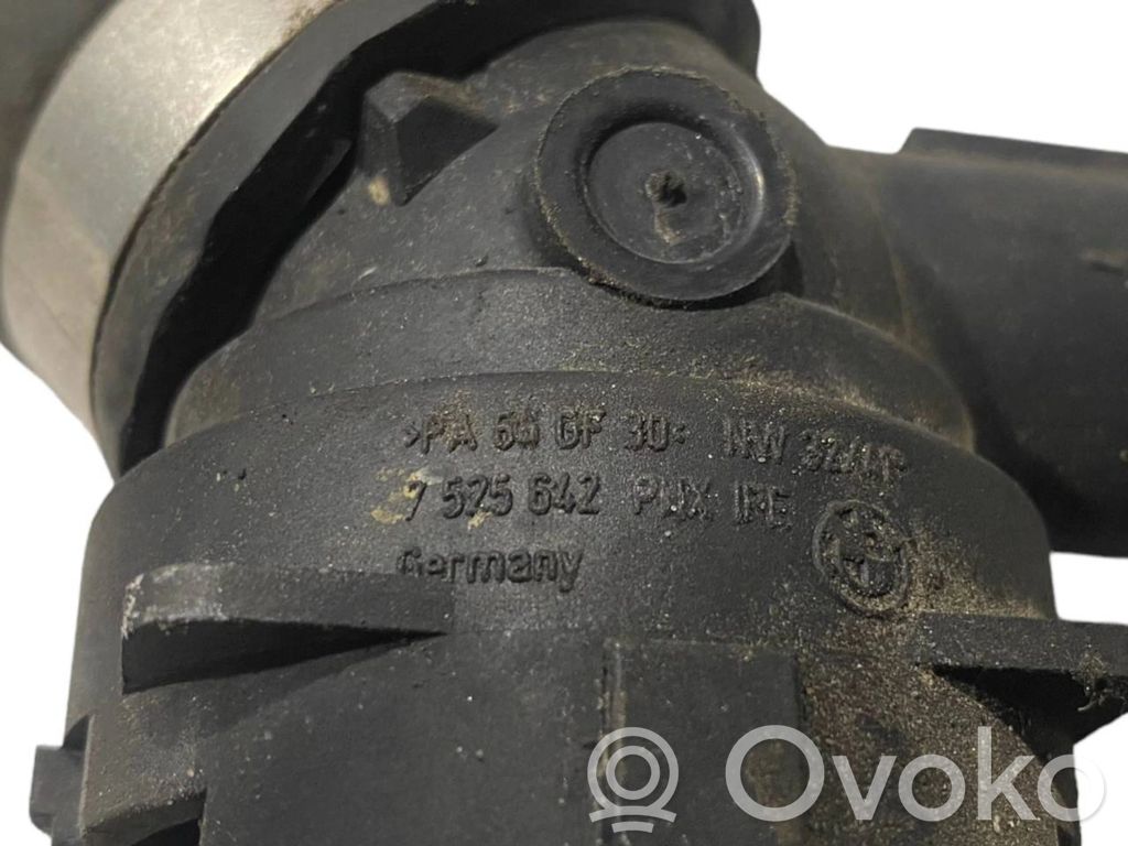 Caurulīte (-es) / šļūtene (-es)