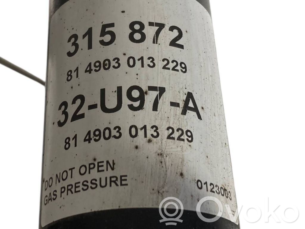 Aizmugurē amortizators