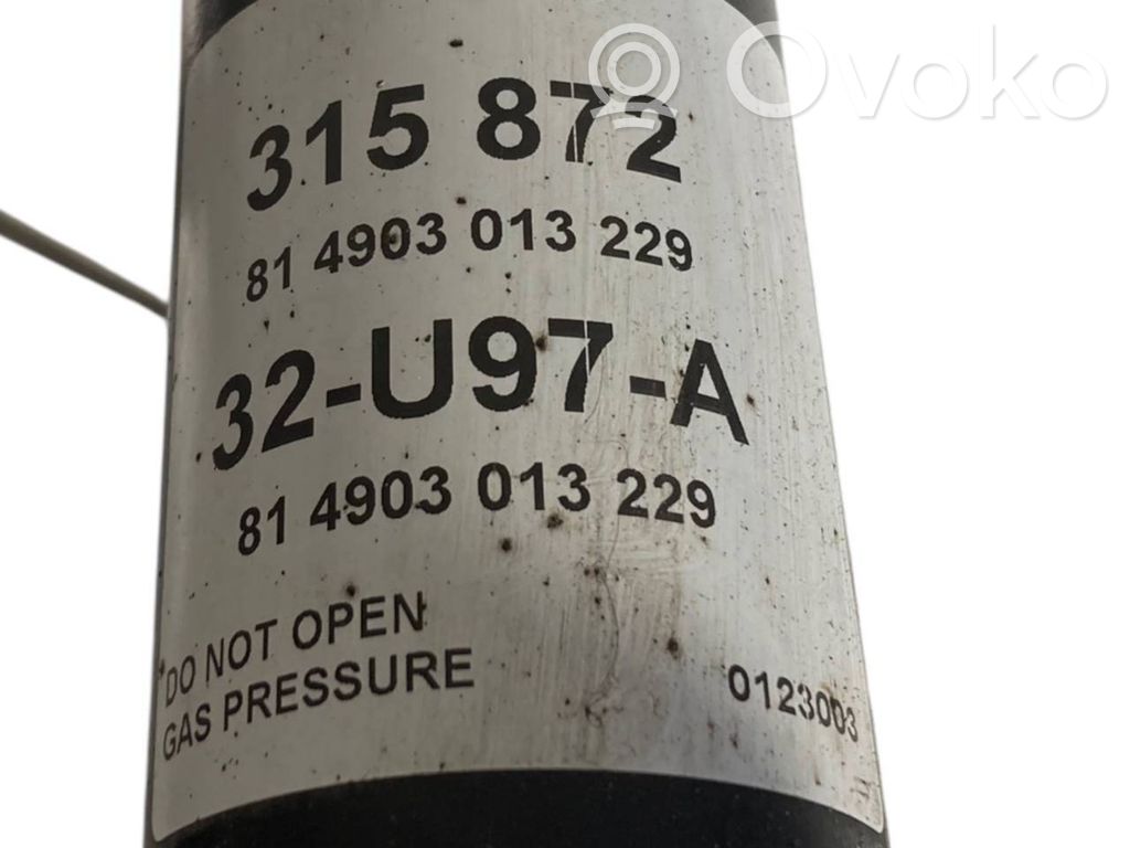 Rear shock absorber