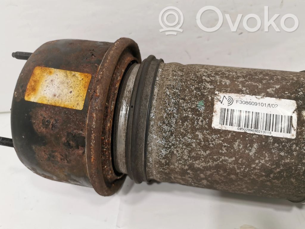 Задняя пневматическая (воздушная) подушка с амортизатором