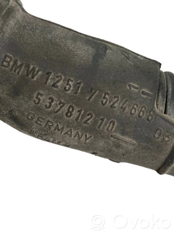 Engine wiring harness