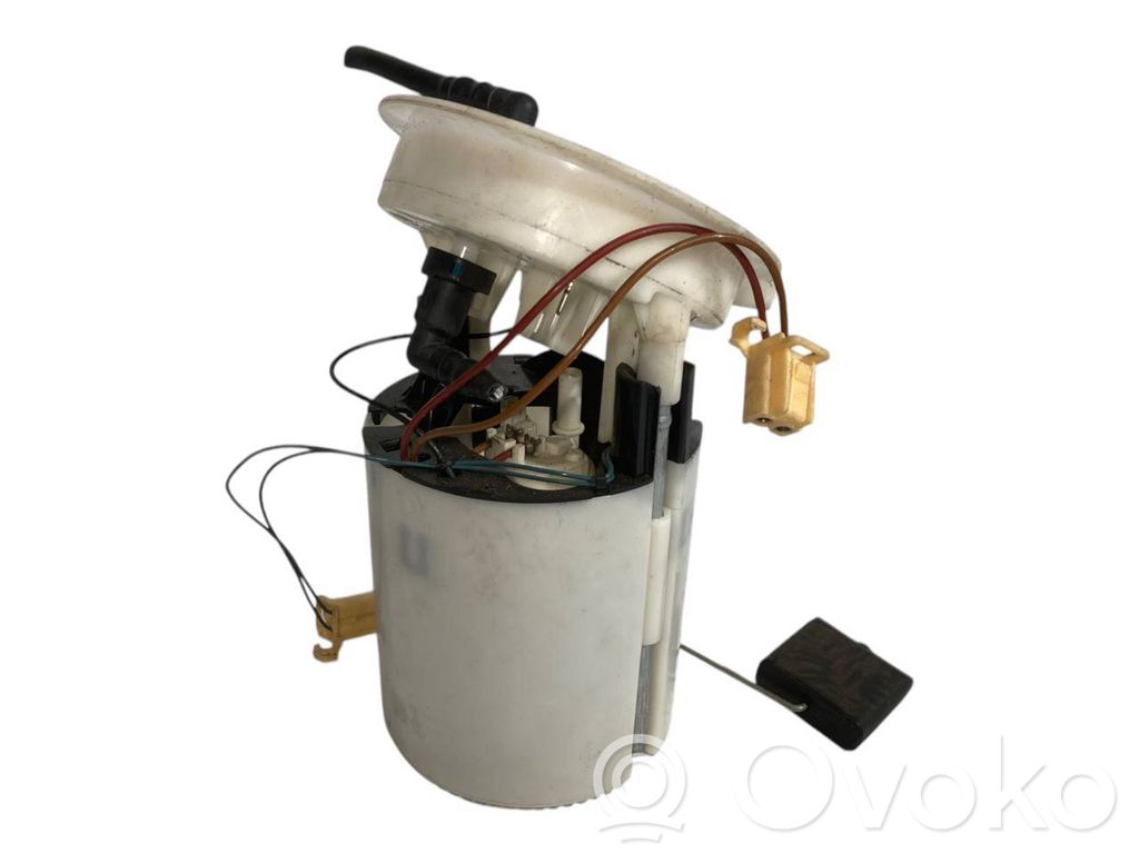 Fuel pump (in the fuel tank)