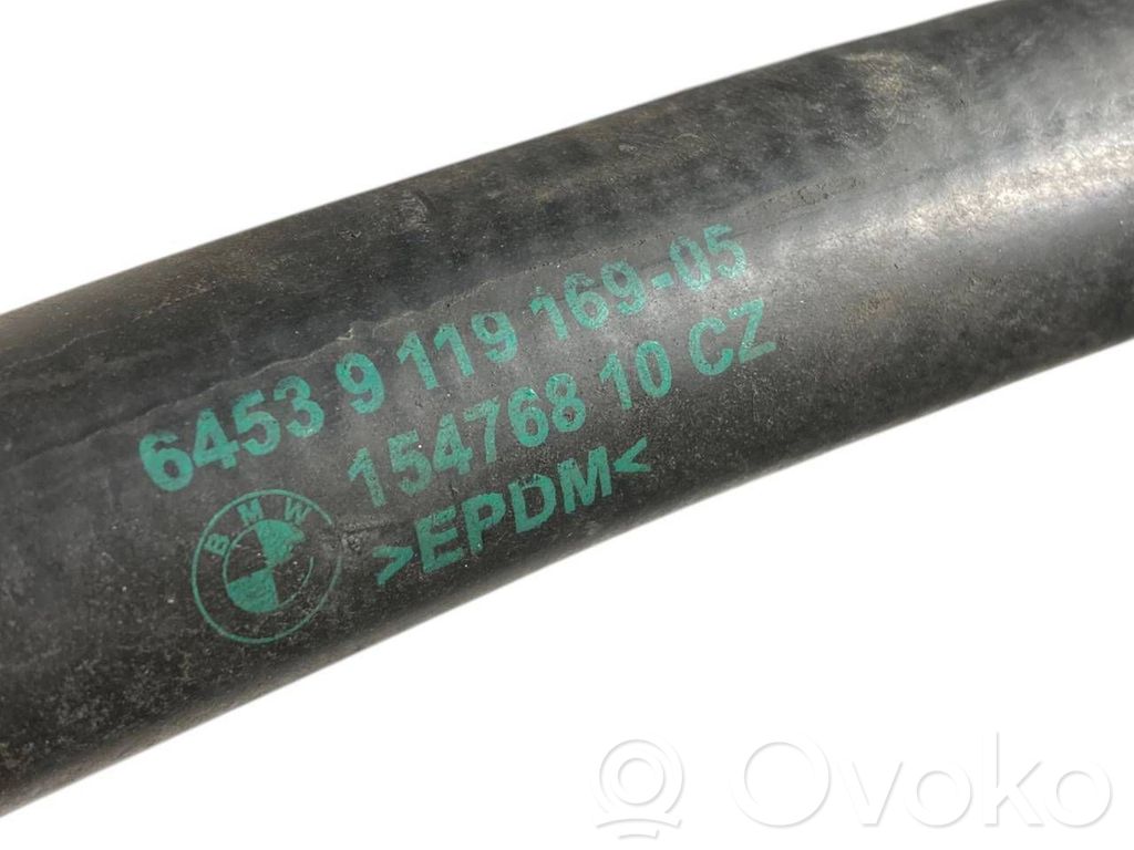 Caurulīte (-es) / šļūtene (-es)