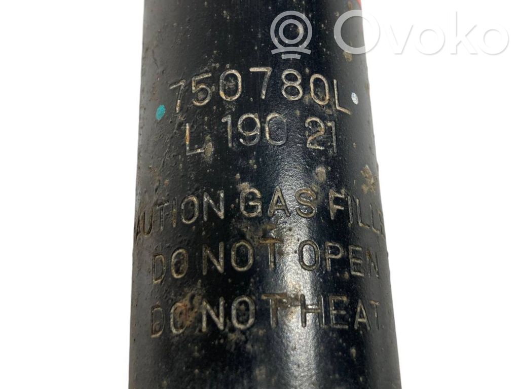 Rear shock absorber