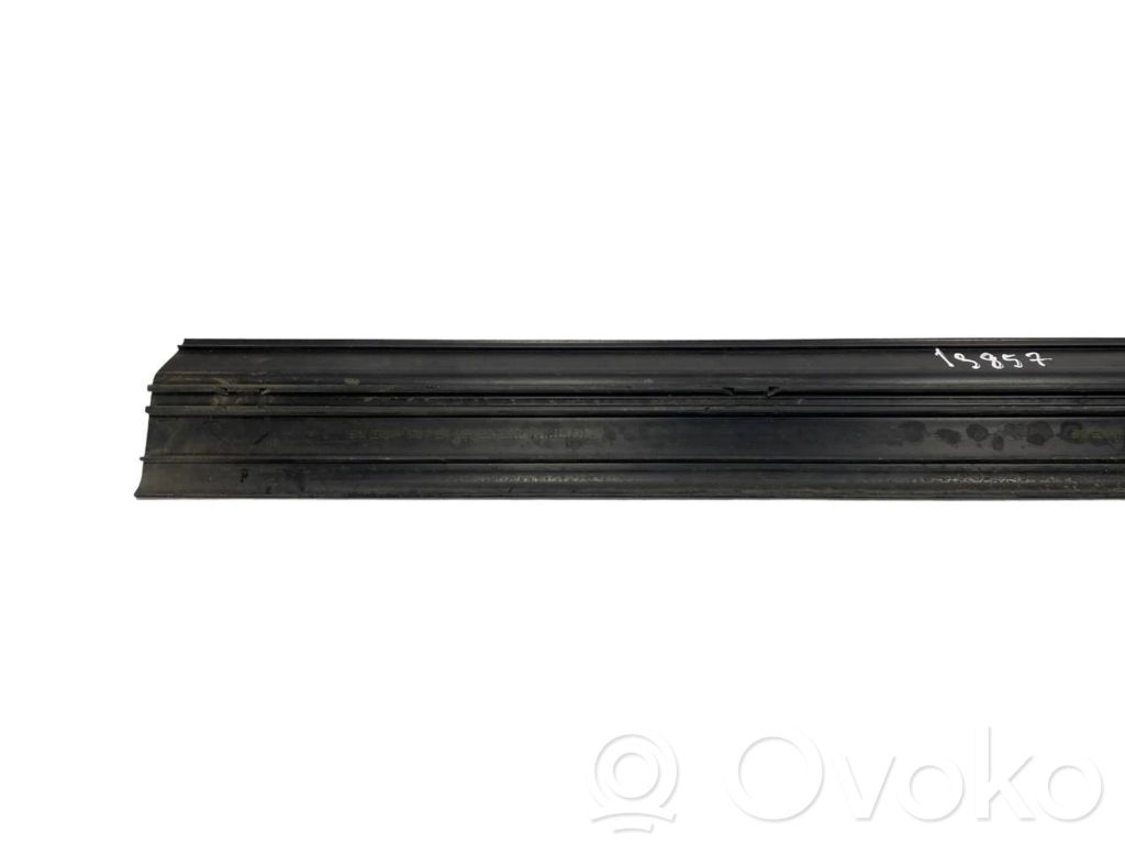 Front sill trim (inner)