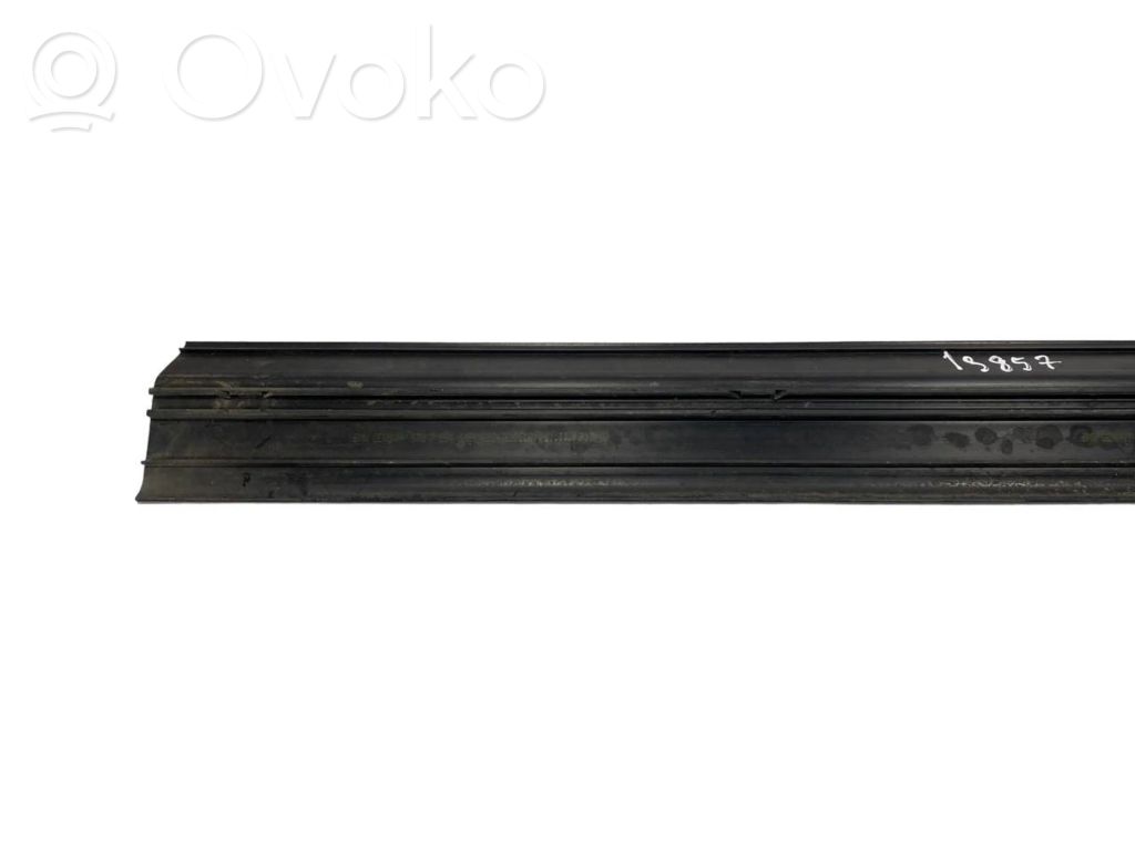 Front sill trim (inner)
