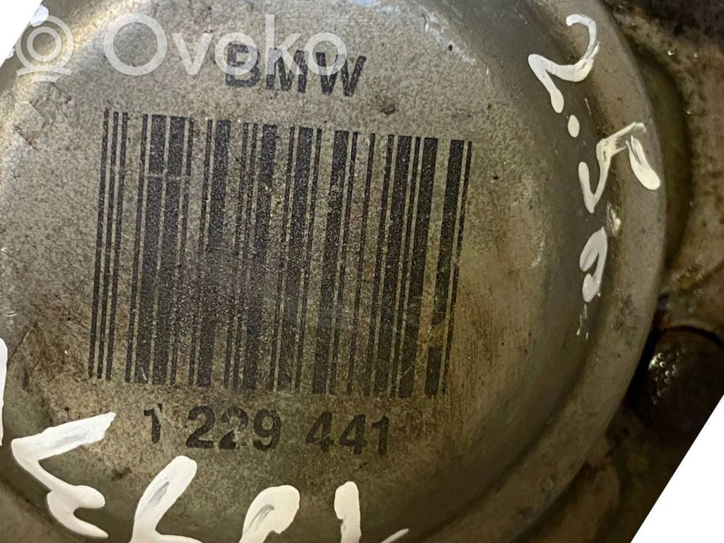 Aizmugurējā pusass