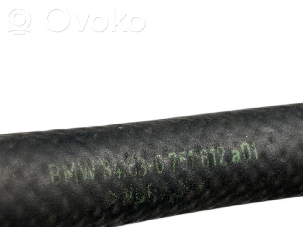 Caurulīte (-es) / šļūtene (-es)