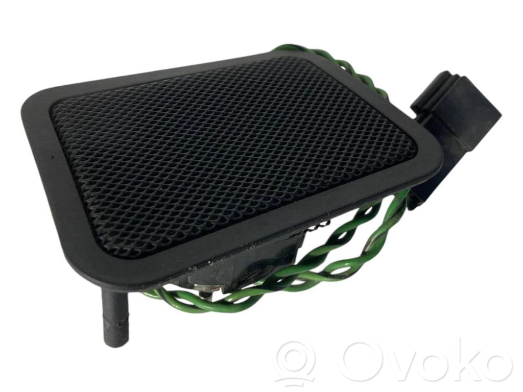 Speaker(s) in the rear door
