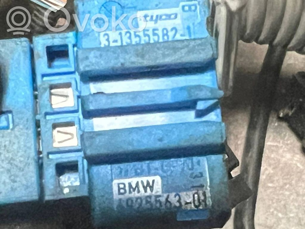 Engine wiring harness