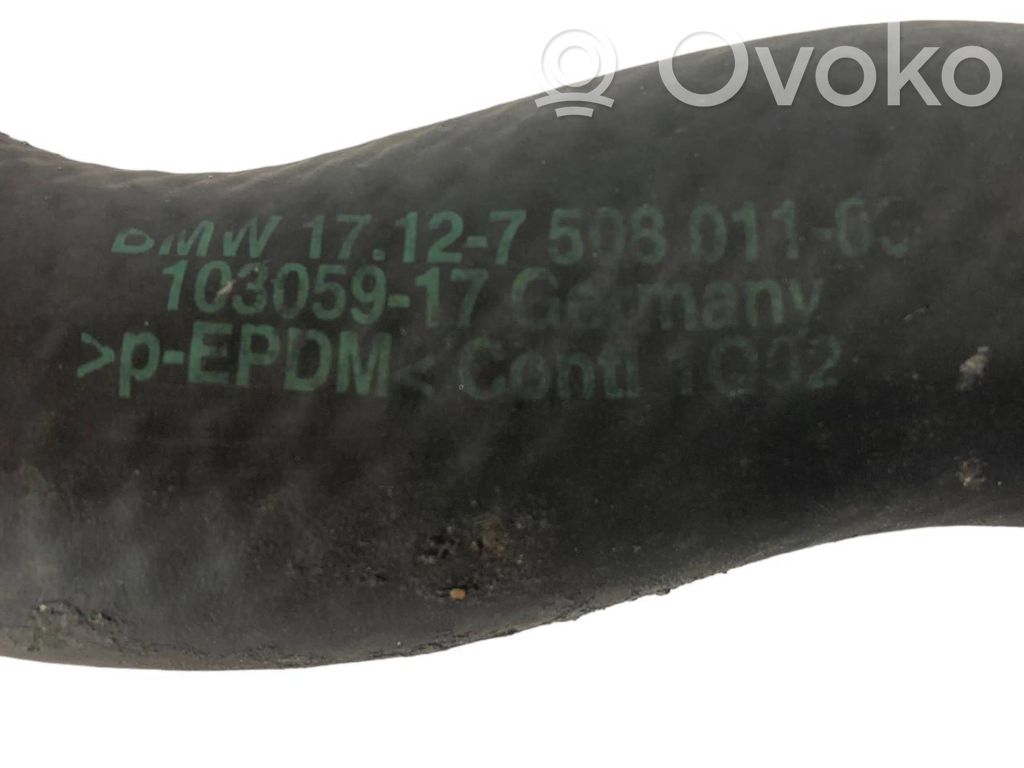 Caurulīte (-es) / šļūtene (-es)