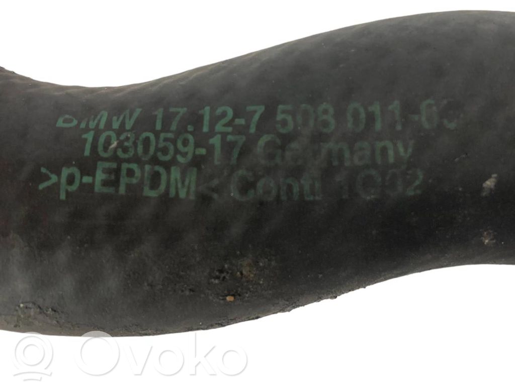 Caurulīte (-es) / šļūtene (-es)