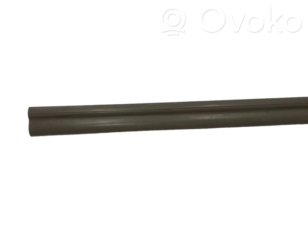 Front sill trim (inner)