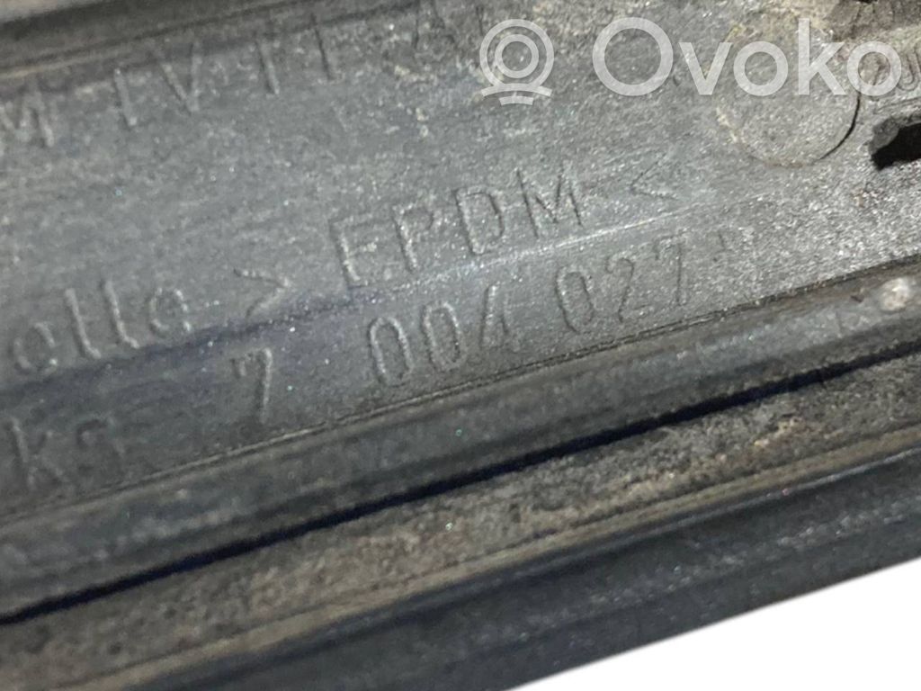 Fender decorative trim (molding)