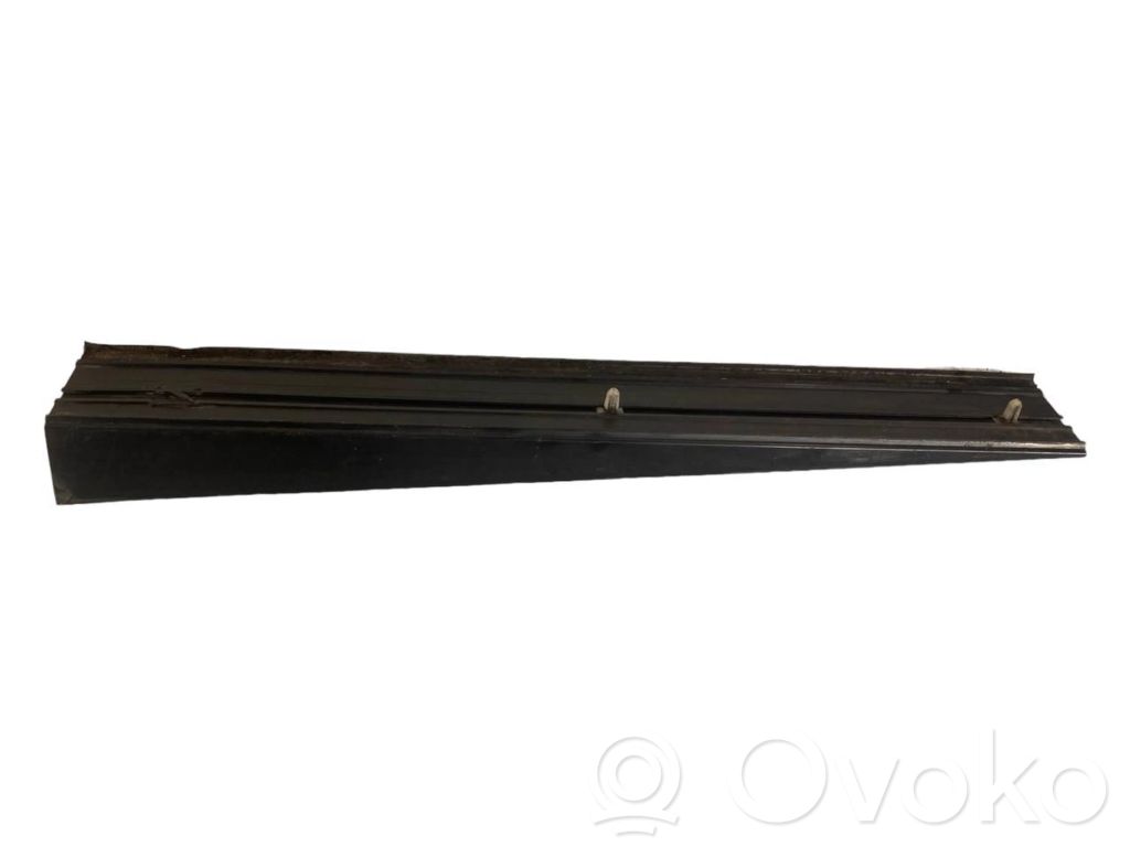 Rear door sill trim (external)