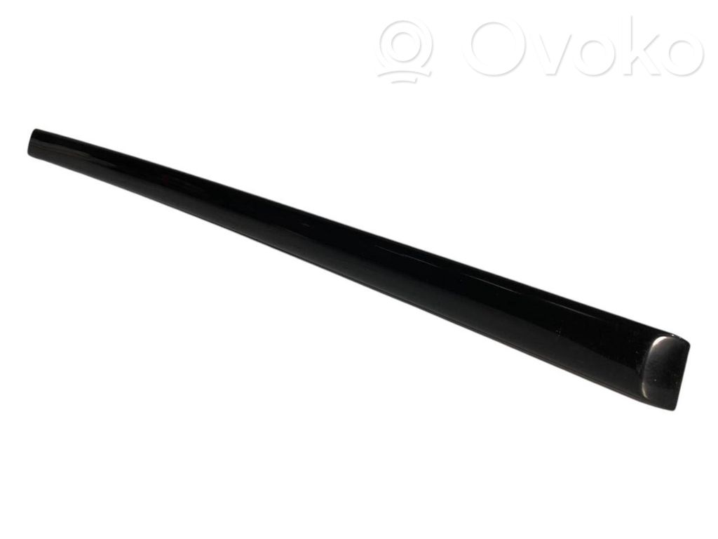 Aizmugurē durvju dekoratīvā apdare (moldings)