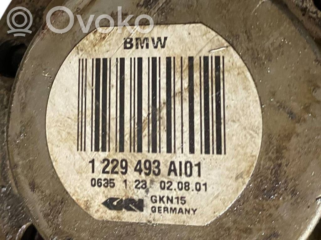 Aizmugurējā pusass