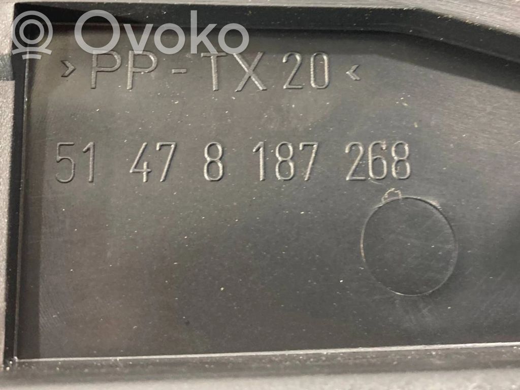 Cita veida bagāžnieka dekoratīvās apdares detaļa