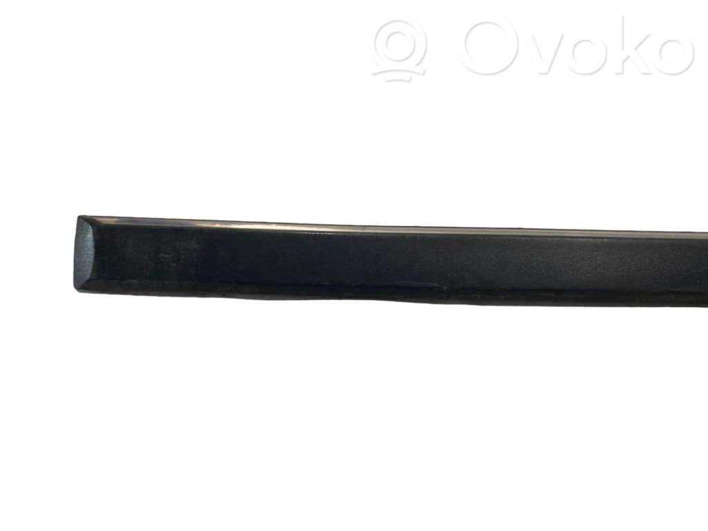 Rear door decorative trim (moulding)