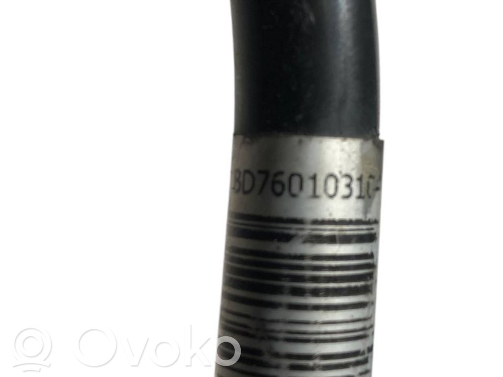 Caurulīte (-es) / šļūtene (-es)