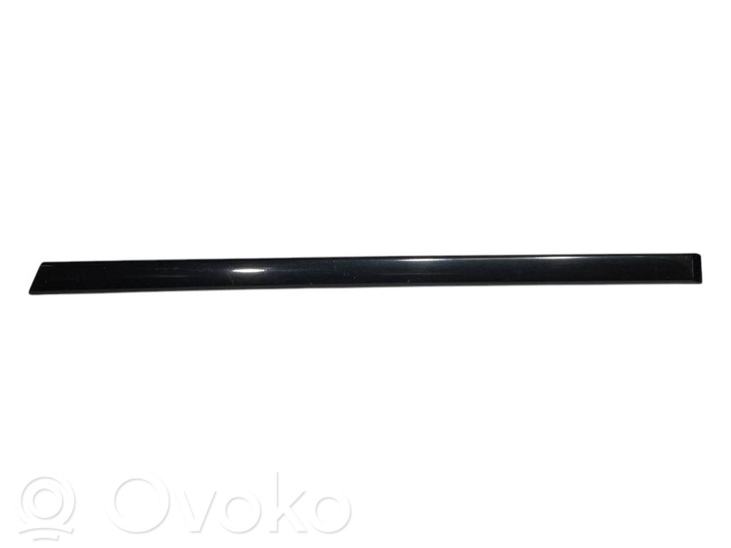 Aizmugurē durvju dekoratīvā apdare (moldings)
