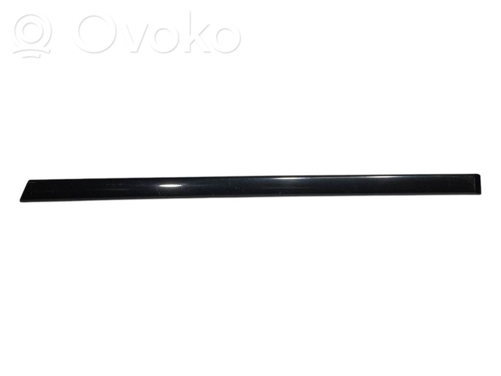Rear door decorative trim (moulding)