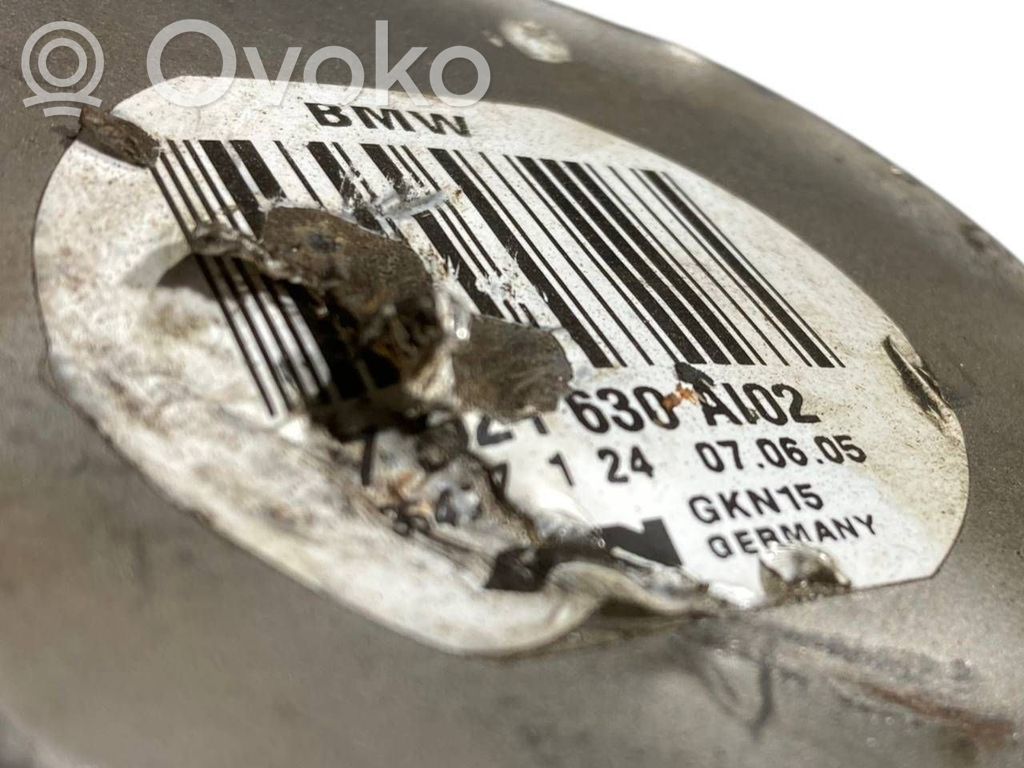 Aizmugurējā pusass