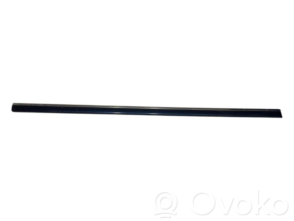 Priekšpusē durvju dekoratīvā apdare (moldings)