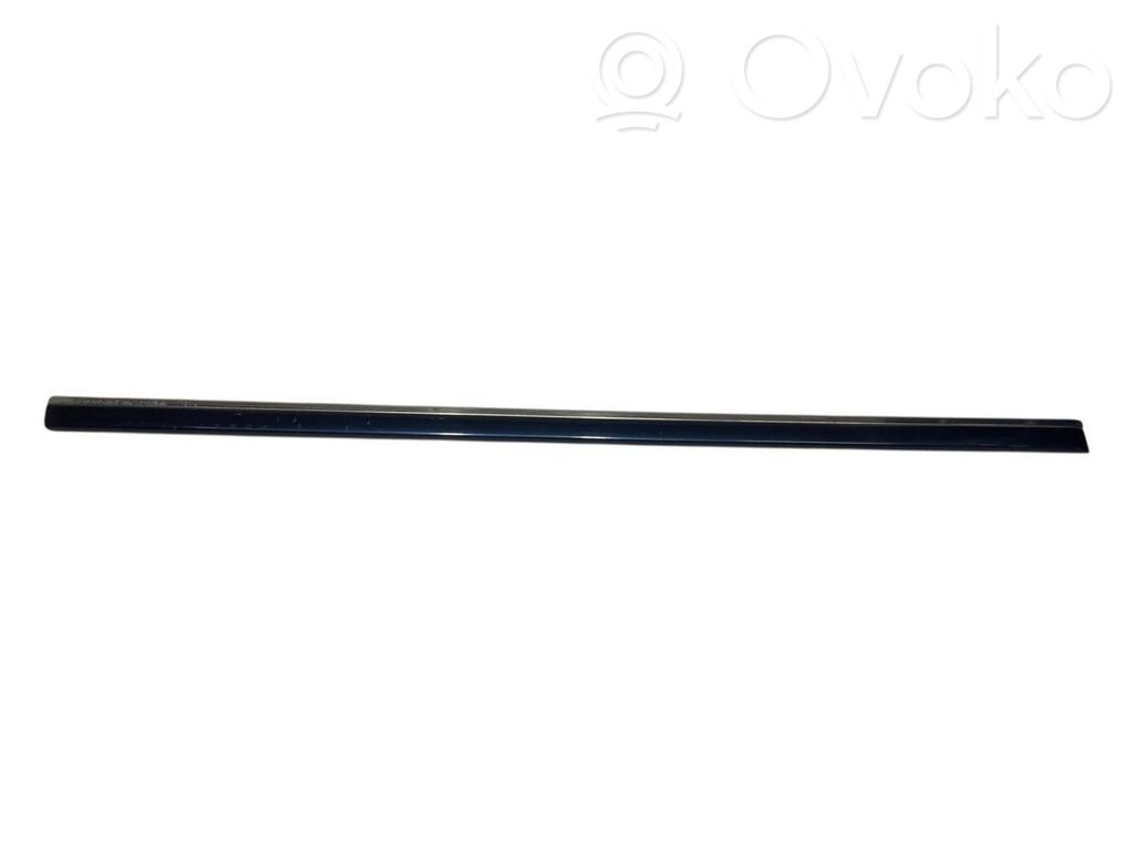 Priekšpusē durvju dekoratīvā apdare (moldings)