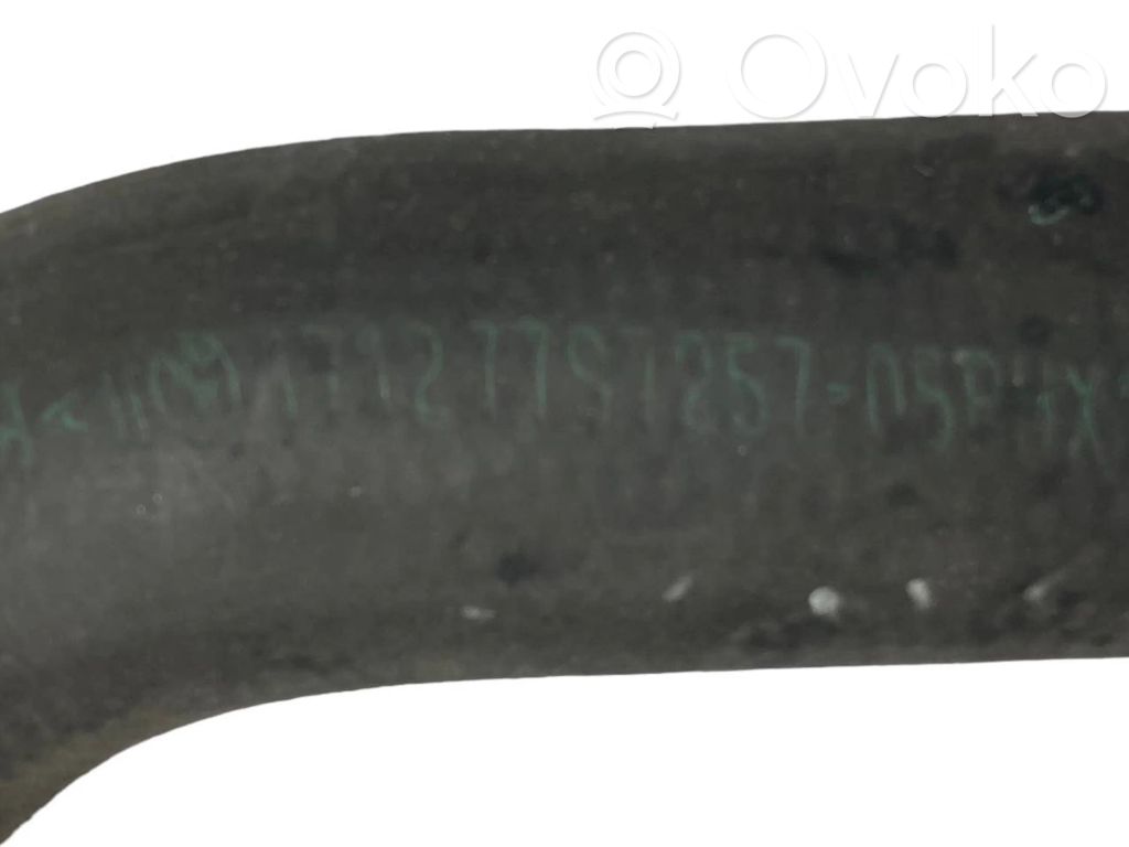 Caurulīte (-es) / šļūtene (-es)