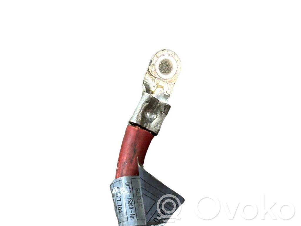 Plusa vads (akumulatora)