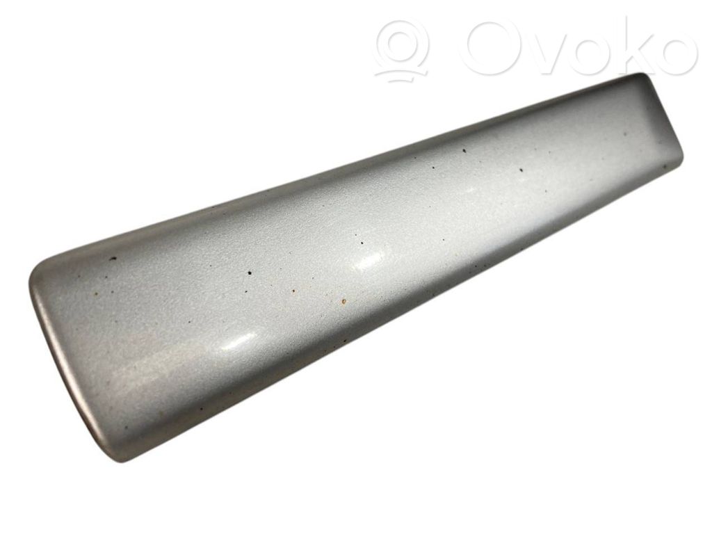 Fender decorative trim (molding)