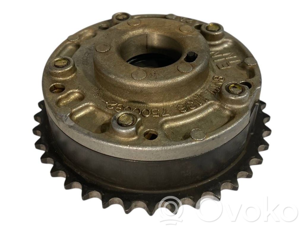 Sadales vārpstas skriemelis / "Vanos"