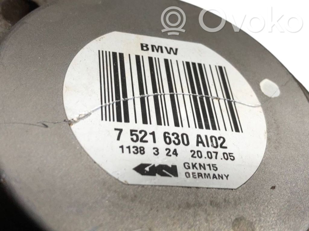 Aizmugurējā pusass