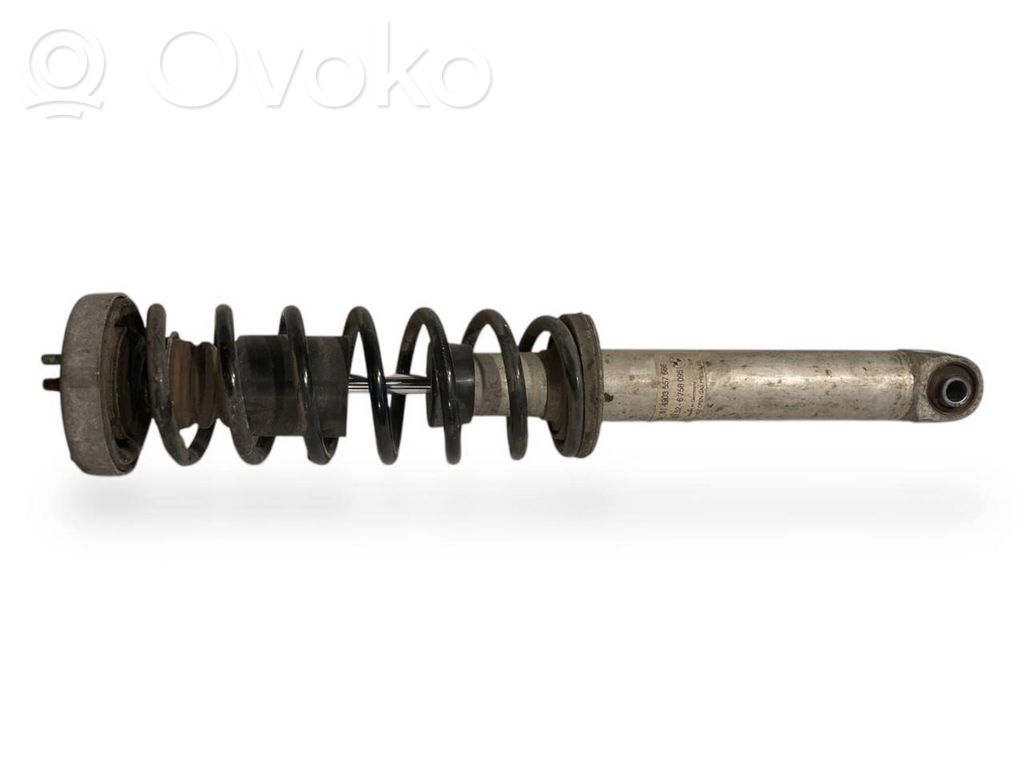 Rear shock absorber with spring