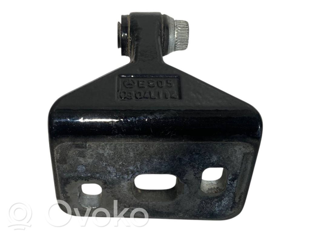 Rear lower hinge