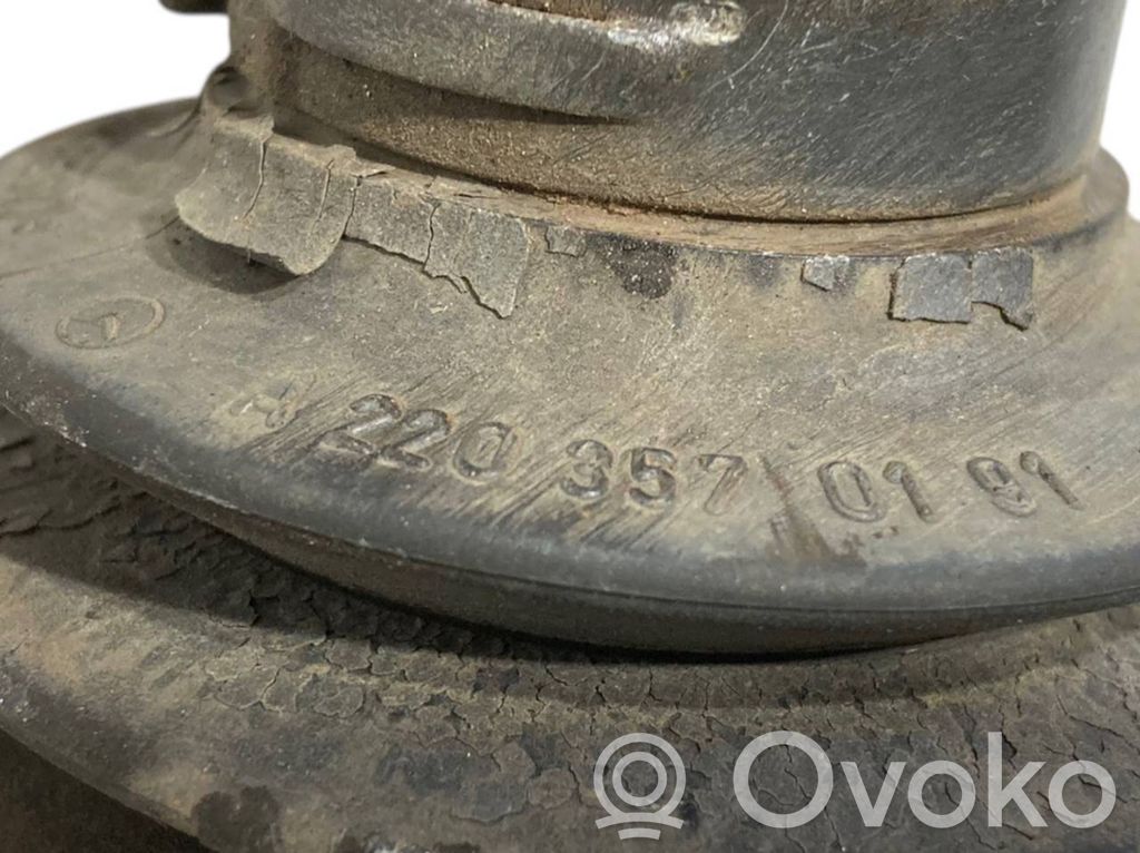 Aizmugurējā pusass