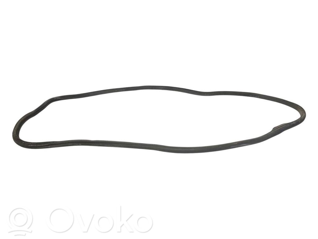 Rear trim rubber (in the body)