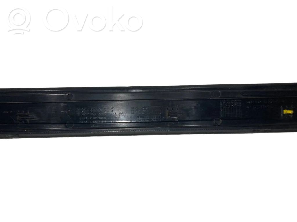 Front sill trim (inner)