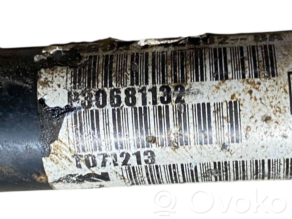 Aizmugurējā pusass