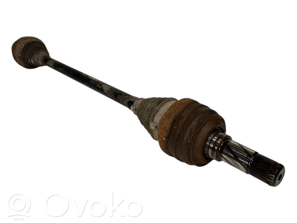 Aizmugurējā pusass