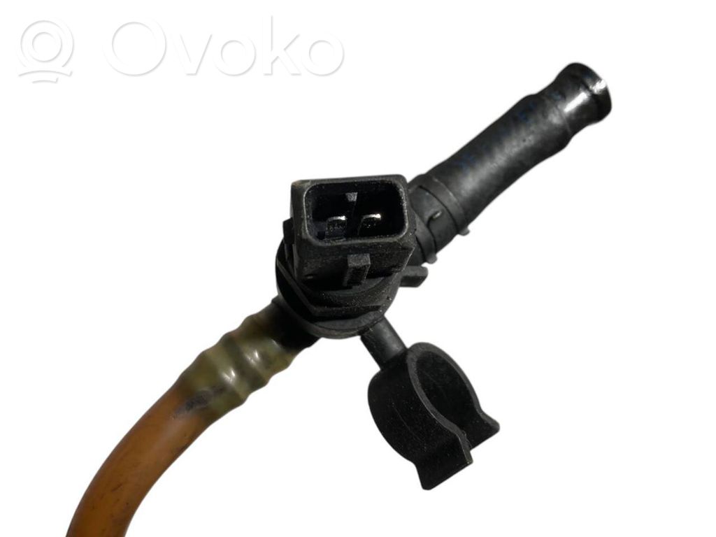 Caurule (-es) / šļūtene (-es)