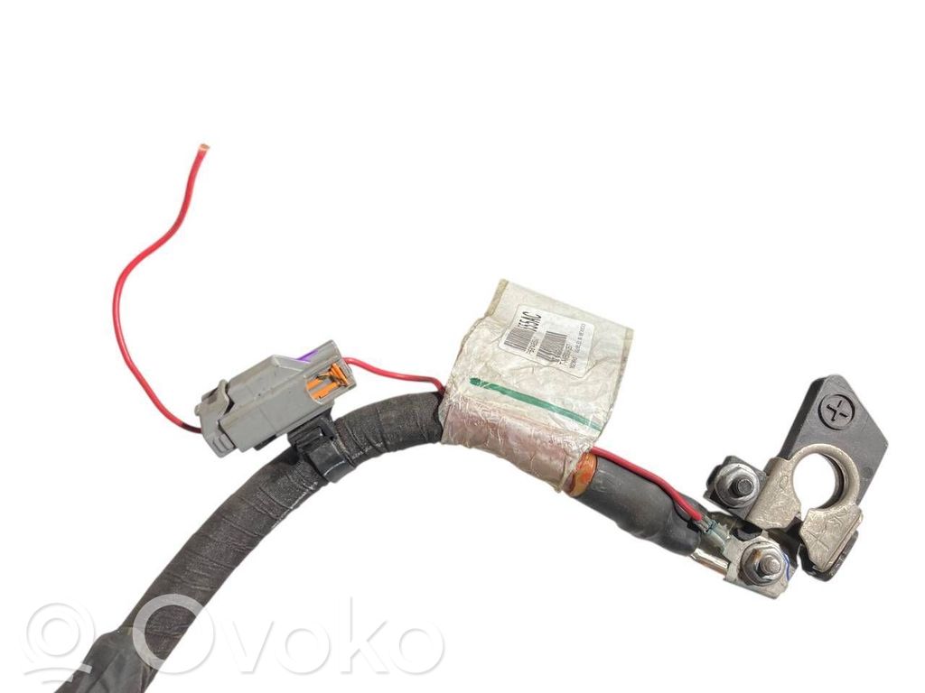 Plusa vads (akumulatora)