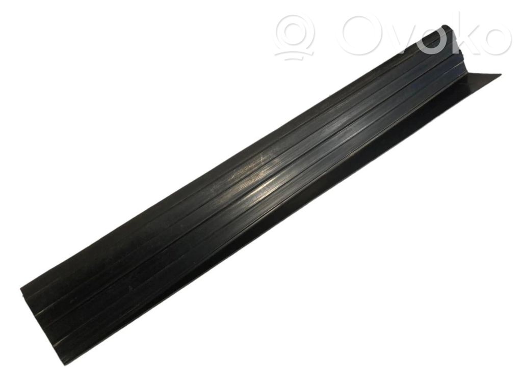 Rear door sill trim (external)