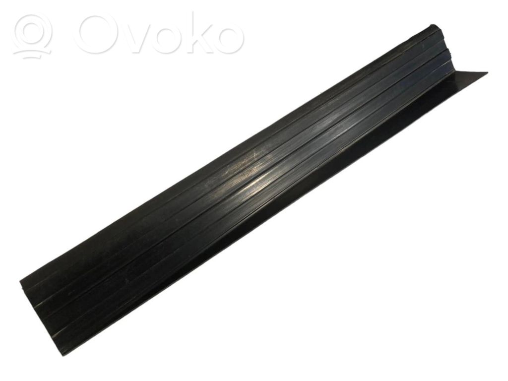 Rear door sill trim (external)
