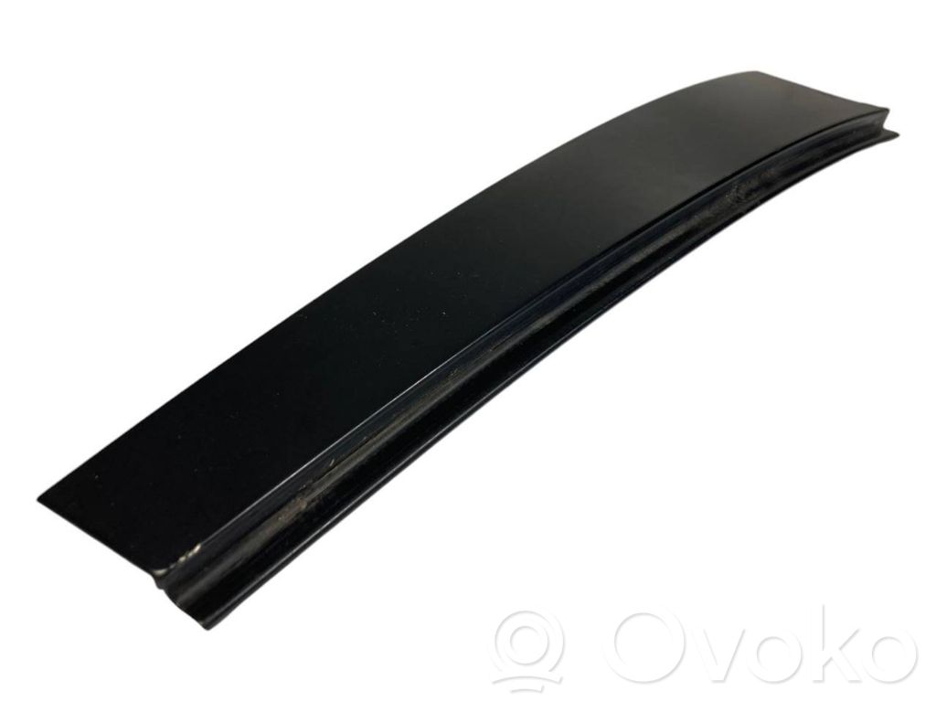 Rear door glass trim