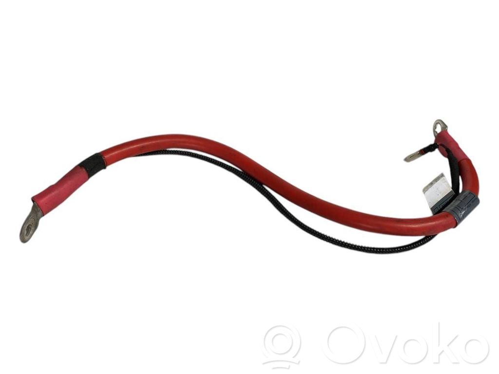 Plusa vads (akumulatora)